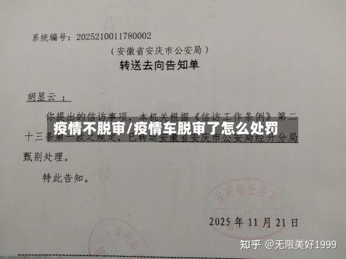 疫情不脱审/疫情车脱审了怎么处罚