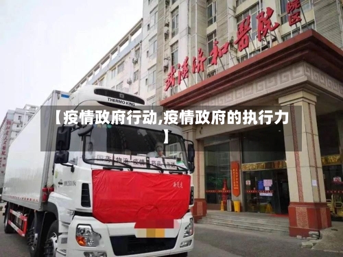 【疫情政府行动,疫情政府的执行力】