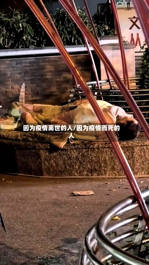 因为疫情离世的人/因为疫情而死的人