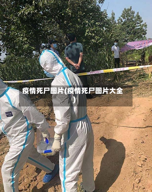 疫情死尸图片(疫情死尸图片大全)