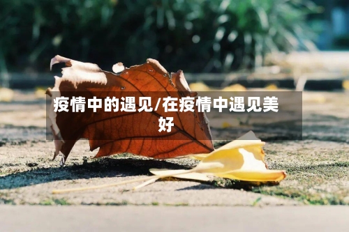 疫情中的遇见/在疫情中遇见美好-第2张图片