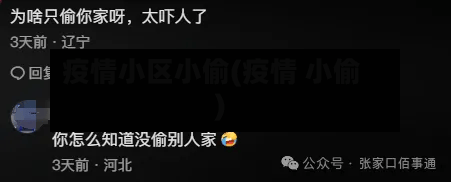 疫情小区小偷(疫情 小偷)-第2张图片