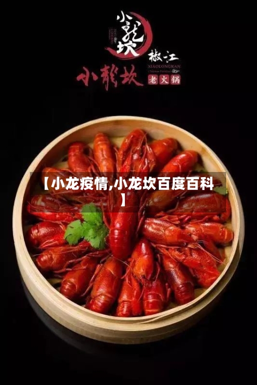 【小龙疫情,小龙坎百度百科】-第2张图片