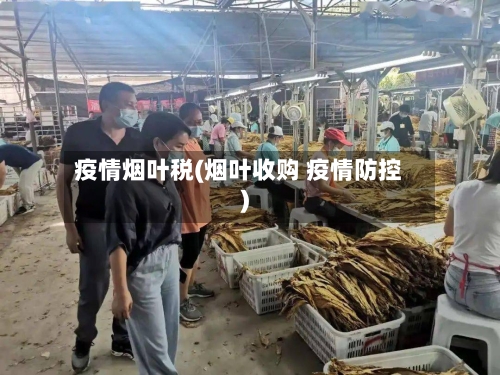 疫情烟叶税(烟叶收购 疫情防控)-第2张图片