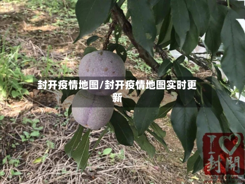 封开疫情地图/封开疫情地图实时更新-第2张图片