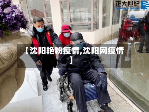 【沈阳艳粉疫情,沈阳网疫情】-第2张图片