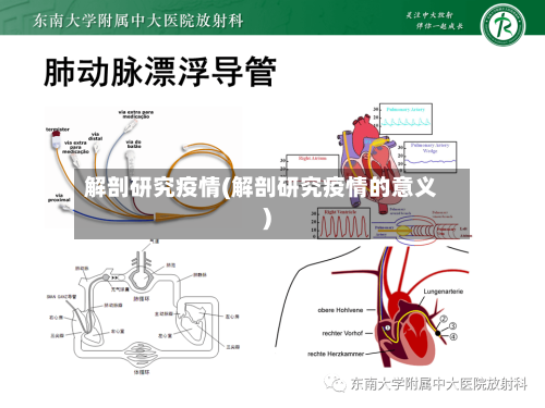 解剖研究疫情(解剖研究疫情的意义)-第2张图片