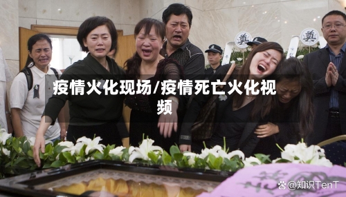 疫情火化现场/疫情死亡火化视频-第2张图片