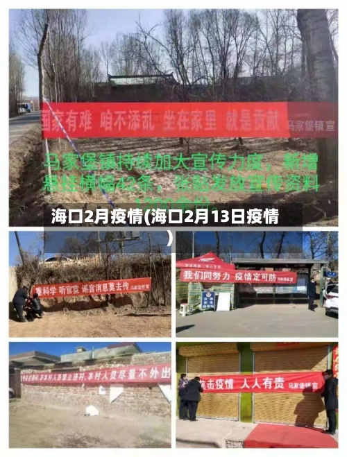 海口2月疫情(海口2月13日疫情)-第2张图片