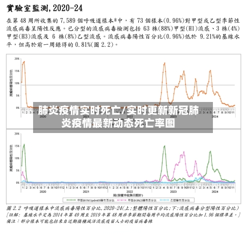 肺炎疫情实时死亡/实时更新新冠肺炎疫情最新动态死亡率图