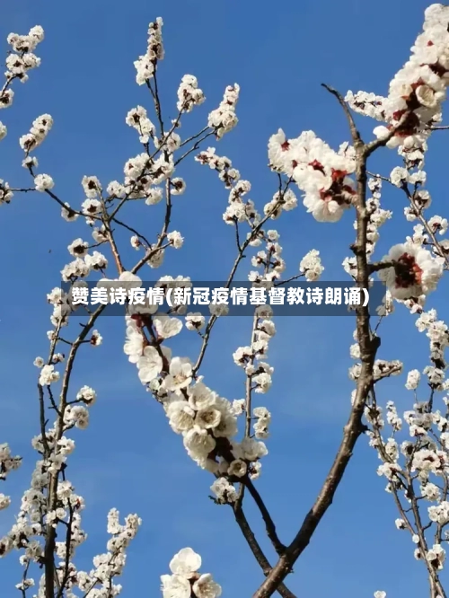 赞美诗疫情(新冠疫情基督教诗朗诵)