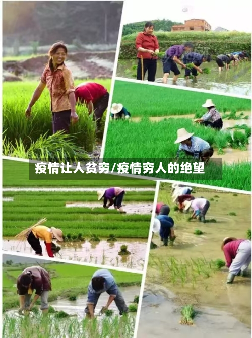 疫情让人贫穷/疫情穷人的绝望-第2张图片