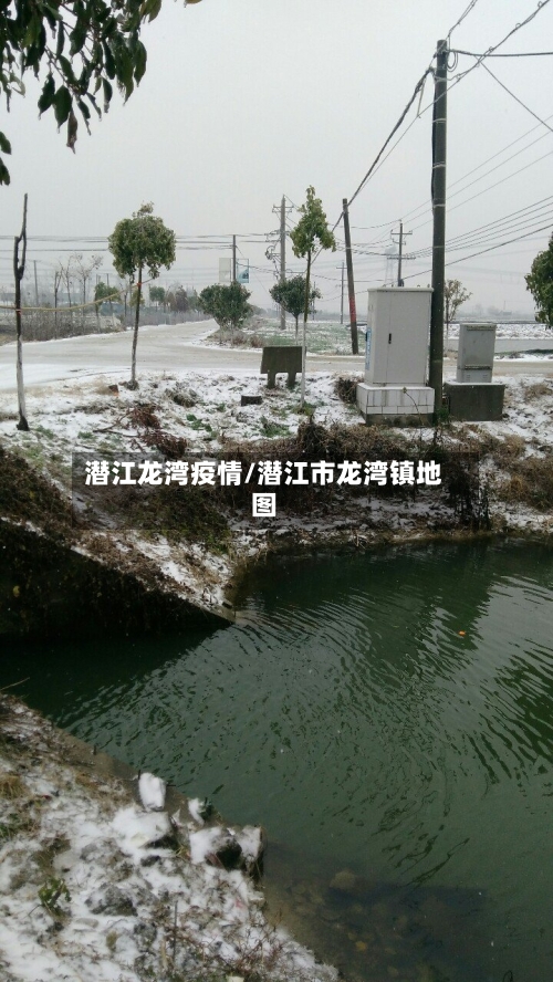 潜江龙湾疫情/潜江市龙湾镇地图
