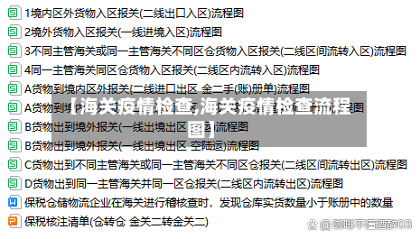 【海关疫情检查,海关疫情检查流程图】