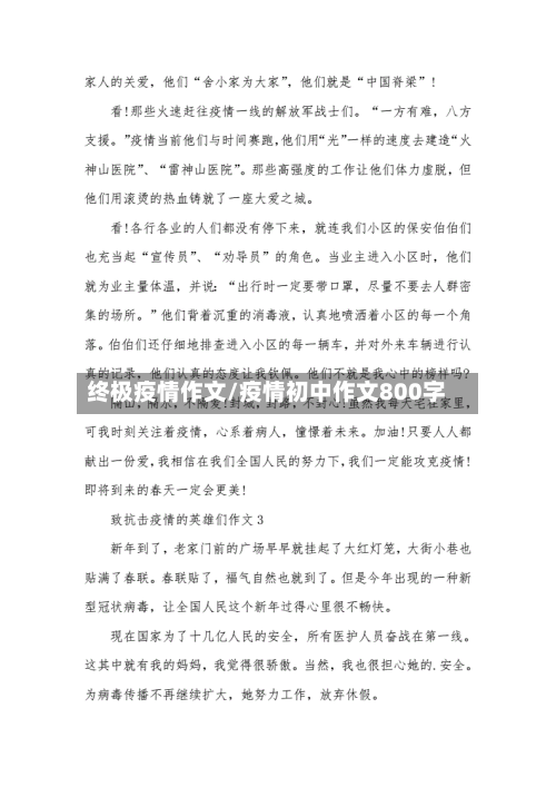 终极疫情作文/疫情初中作文800字