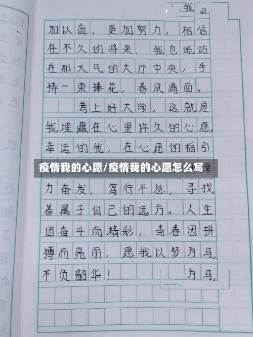 疫情我的心愿/疫情我的心愿怎么写-第3张图片