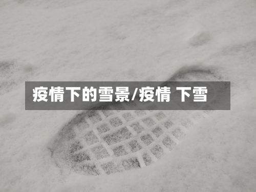 疫情下的雪景/疫情 下雪