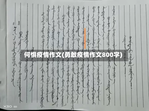 何惧疫情作文(勇敢疫情作文800字)