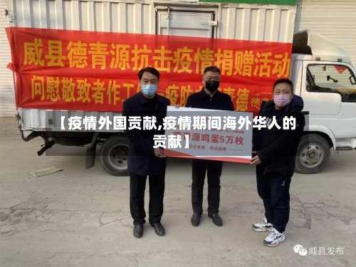 【疫情外国贡献,疫情期间海外华人的贡献】
