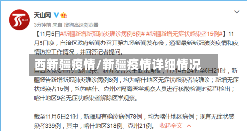 西新疆疫情/新疆疫情详细情况-第2张图片