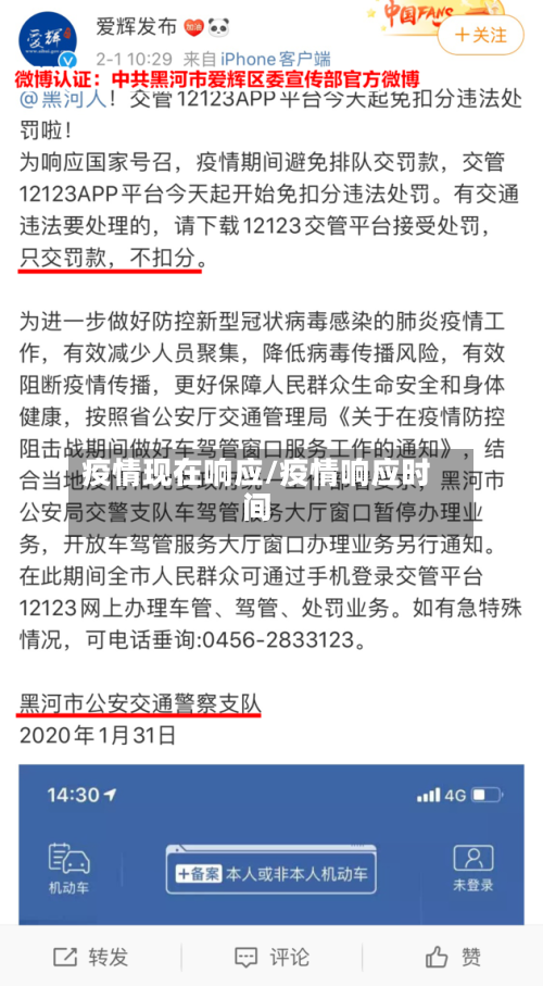 疫情现在响应/疫情响应时间-第2张图片