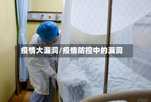 疫情大漏洞/疫情防控中的漏洞