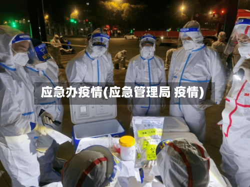 应急办疫情(应急管理局 疫情)-第2张图片