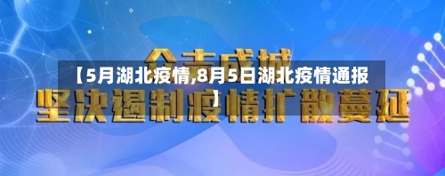 【5月湖北疫情,8月5日湖北疫情通报】-第3张图片