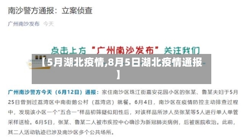 【5月湖北疫情,8月5日湖北疫情通报】-第2张图片