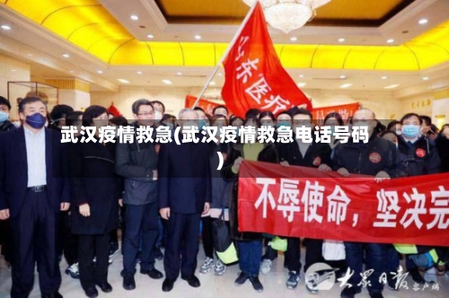 武汉疫情救急(武汉疫情救急电话号码)