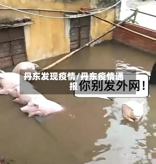 丹东发现疫情/丹东疫情通报-第2张图片