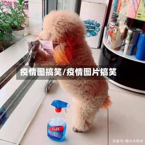 疫情图搞笑/疫情图片搞笑-第3张图片
