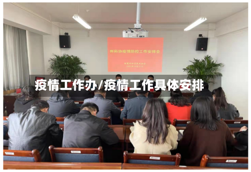 疫情工作办/疫情工作具体安排