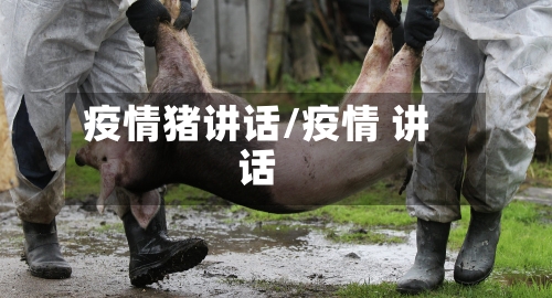 疫情猪讲话/疫情 讲话