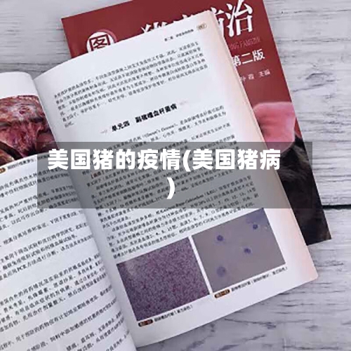 美国猪的疫情(美国猪病)