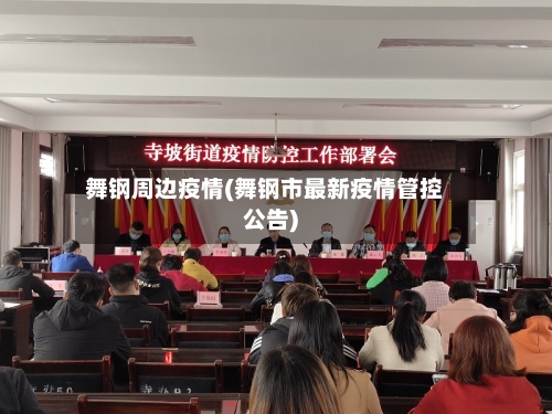 舞钢周边疫情(舞钢市最新疫情管控公告)-第2张图片