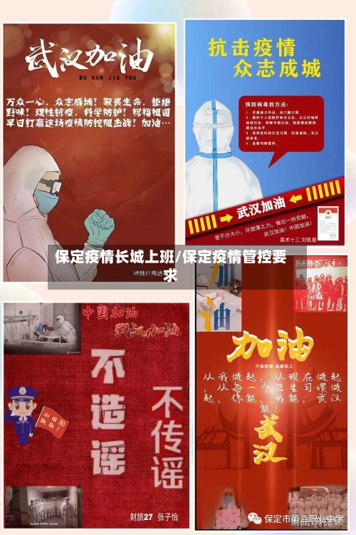 保定疫情长城上班/保定疫情管控要求-第3张图片