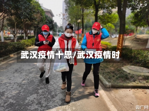 武汉疫情十思/武汉疫情时-第3张图片