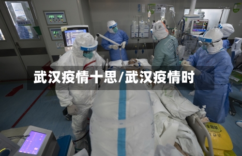 武汉疫情十思/武汉疫情时