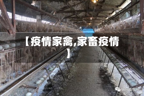 【疫情家禽,家畜疫情】