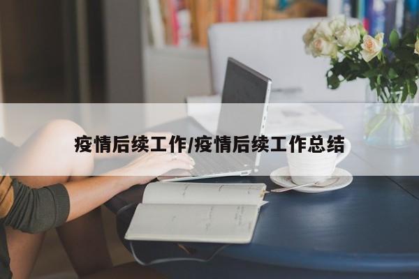 疫情后续工作/疫情后续工作总结