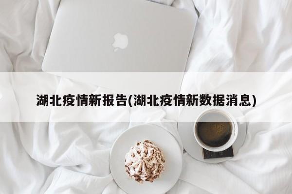 湖北疫情新报告(湖北疫情新数据消息)
